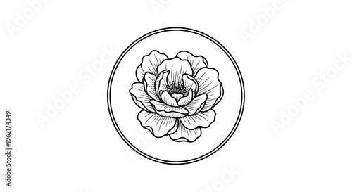 Elegant black and white floral illustration inside a circular frame