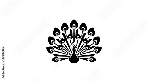Elegant black and white peacock illustration isolated on white background