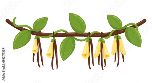 Stylized botanical illustration featuring flowering plant on a branch with vibrant leaves