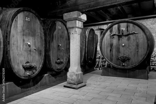 Quadro su tela Wine barrels in cellar