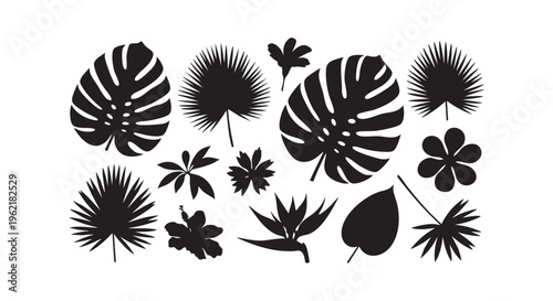 A collection of various tropical leaf silhouettes on a white background isolated on transparent background