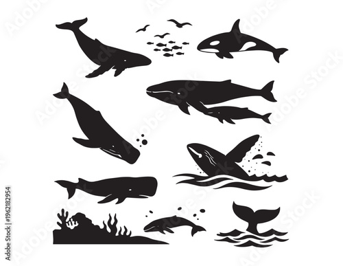 Oceanic whale and marine life vector collection, diverse black silhouette set of sea creatures, underwater animals, and aquatic mammals for nature designs