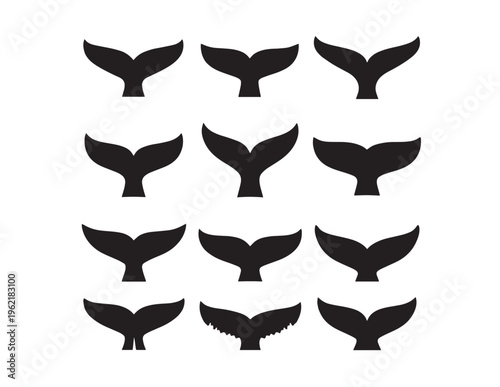 Принти на полотні Whale Tail Vector Set, 12 Black Marine Animal Fins, Ocean Mammal Flukes, Aquatic