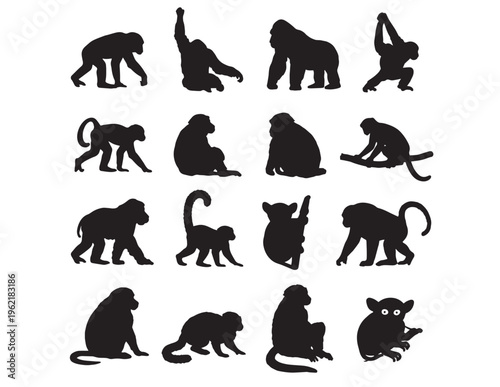 Primate silhouette vector collection, 16 diverse monkey and ape animal shapes, black graphic resource for wildlife designs, nature illustrations, and jungle-themed projects
