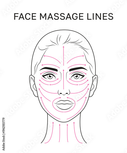 Facial Massage Lines Diagram – Lifting and Anti-Aging Skincare Guide Illustration