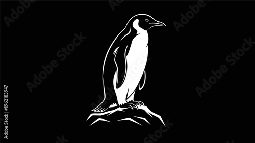 Penguin illustration on dark background