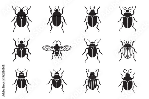 Collection of twelve detailed beetle silhouettes showing various species of hard shelled bugs for entomology.