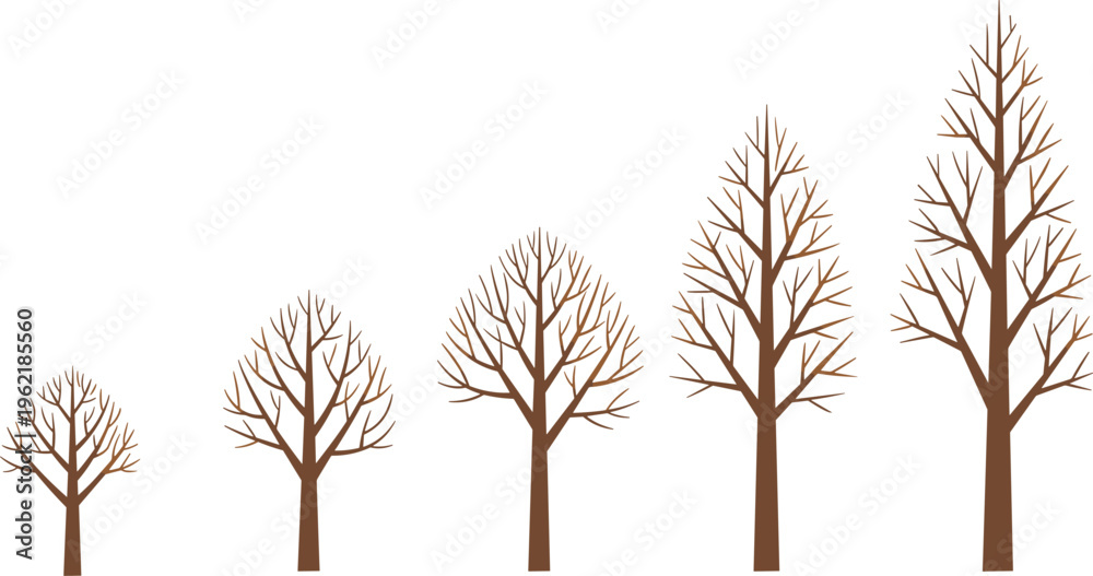 Fototapeta premium Set of Five Bare Deciduous Trees in Various Sizes and Shapes with Brown Branches and Trunks Isolated on White Background for Winter Nature Design