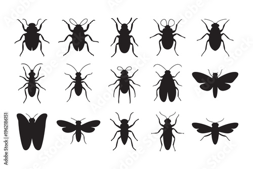 Set of diverse insect silhouettes and moth shapes representing entomology collection and nature study illustrations.
