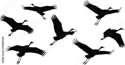 Crane flight silhouette illustration, bird motion design, avian anatomy art, wildlife movement concept, elegant nature symbol, decorative graphic style, flat vector illustration