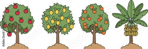 Set of Four Fruit Trees Including Apple Lemon Orange and Banana Tree with Ripe Fruits and Green Leaves Isolated on White Background Illustration