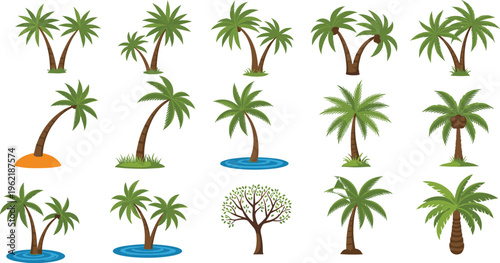 Set of Tropical Palm Trees and Exotic Greenery Icons with Various Shapes Poses Grass and Water Elements Isolated on White Background for Summer Travel Design