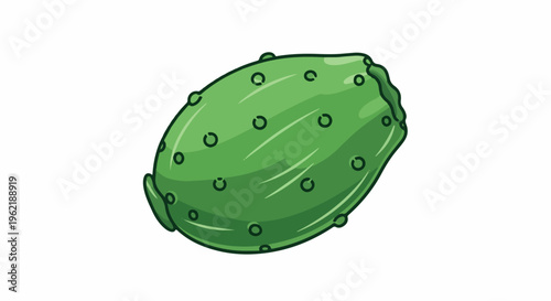 A green prickly pear fruit with many small circular bumps