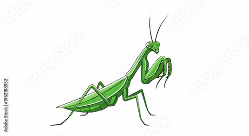 A green praying mantis is depicted in a stylized cartoon illustration