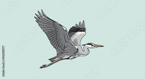 A grey heron in flight with its wings spread wide against a pale blue sky