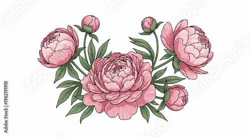 A cluster of pink peonies with green leaves and buds on a white background