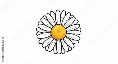 A bright yellow center daisy with white petals outlined in black