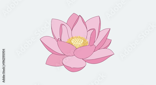 A close up illustration of a pink lotus flower with a yellow center on a light gray background
