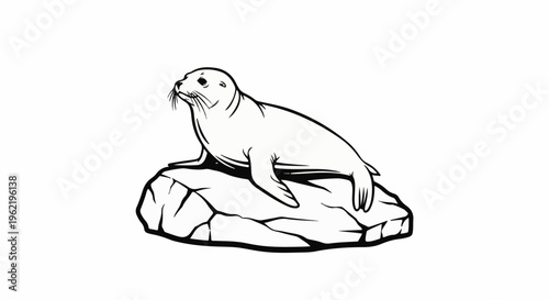 A black and white illustration of a seal resting on a rocky surface