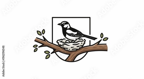 A black and white bird rests on a nest of eggs in a branch