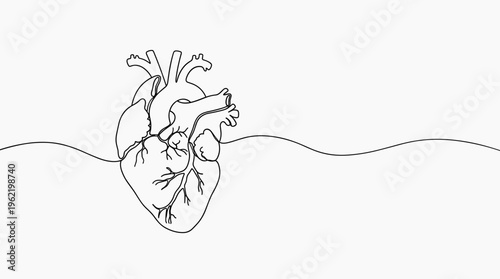 Minimalist continuous line drawing of a human heart with a subtle wave pattern symbolizing life and health on a clean white background