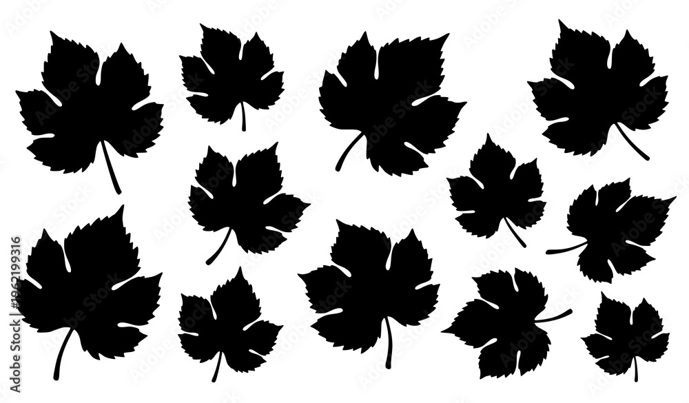 Fototapeta premium Hand drawn grape leaf silhouette icons set vector collection natural botanical style