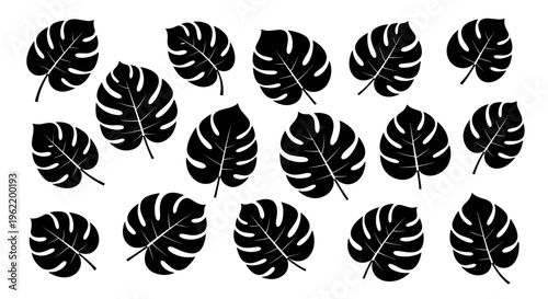 Monstera leaf pattern black silhouette on white background tropical plant foliage jungle aesthetic decorative element