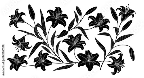 Elegant black lily flower illustration with delicate petals and leaves on a white background, perfect for floral designs and decorative elements