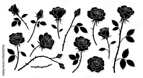 Collection of black rose silhouettes with stems and leaves on a white background symbolizing romance and nature
