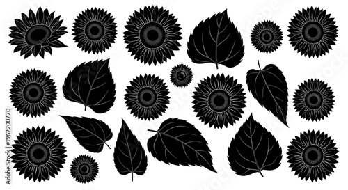 Black and white silhouette of sunflowers and leaves, a collection of floral elements for design and decoration, isolated on a white background