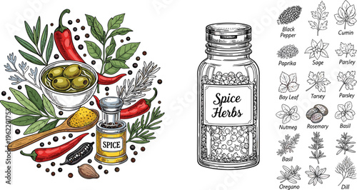 Spice herbs collection with olive oil chili pepper leaves and labeled seasoning jar detailed vector illustration isolated on white background