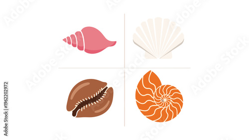 Colorful illustrations of four distinct types of seashells displayed in pairs
