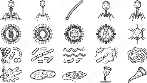 Illustrative depiction of various microorganisms showcasing their distinct features, perfect for scientific presentations and educational materials.
