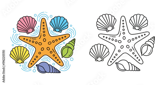 Sea Life Vector Set with Starfish and Seashells, Colorful Cartoon Illustration and Black and White Line Art Outline for Kids Coloring Book and Summer Beach Graphic Design