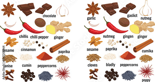 Indian spices ingredients collection with labeled herbs chili ginger cinnamon garlic nutmeg and masala powders vector illustration isolated on white background