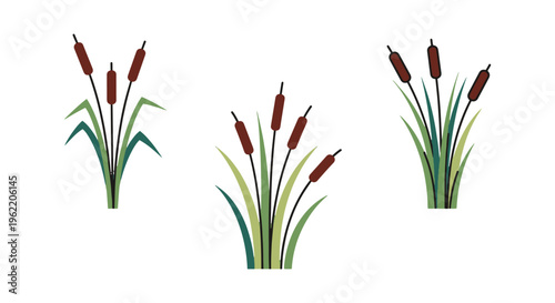 Lake Reeds Line art vector modern color pattern illustration