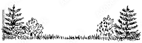 Simple hand-drawn vector drawing with a black outline. Forest glade, lawn. Coniferous trees, pines, deciduous bushes and grass, plants. Nature and vegetation. Summer landscape. Ink sketch.