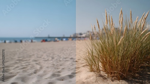 A close up of dune grass on a sandy beach contrasts with a blurred background of the sea and distant coast