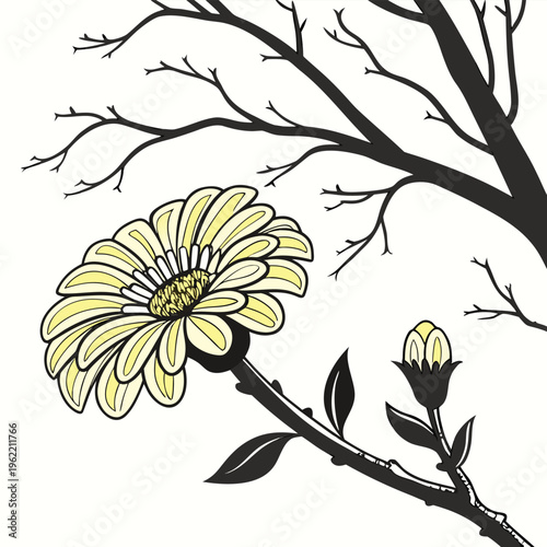 zinnia orange flower silhouette on white background