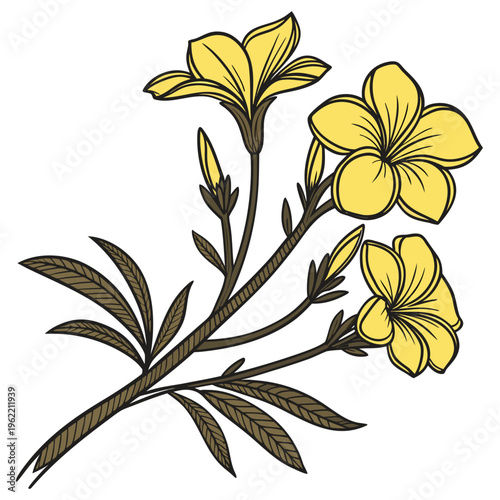 branch with yellow flowers