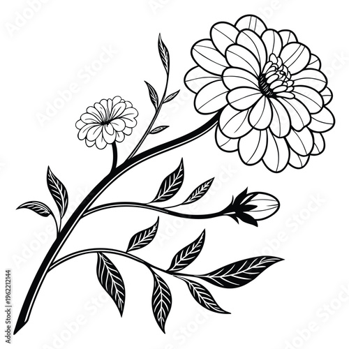 black and white flowers