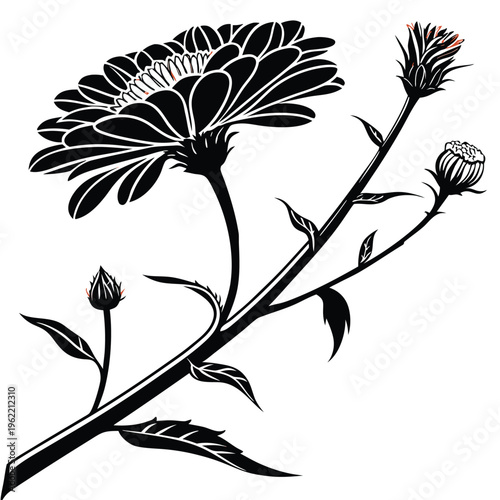 black and white silhouettes of flowers