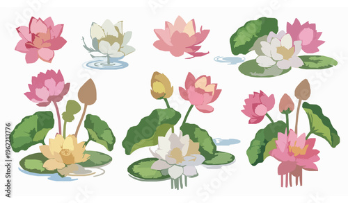 Hand Painted Lotus and Water Lily Watercolor Collection for Wedding and Surface Pattern Design