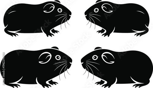 Black guinea pig silhouette set, vector illustration of cute rodents, animal icon collection isolated on white background, minimal design for logo, pattern, or graphic use