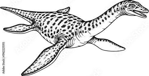 elasmosaurus vector art