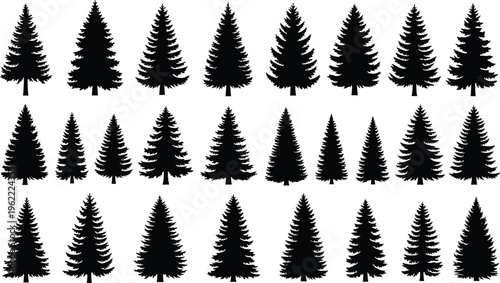 Pine tree silhouettes collection illustration, evergreen forest set, different conifer shapes, nature elements, black solid vector icons isolated design