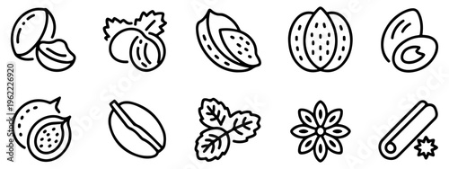 nuts spices healthy snack icon set
