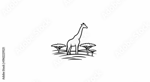 A solitary giraffe stands tall amidst savanna trees