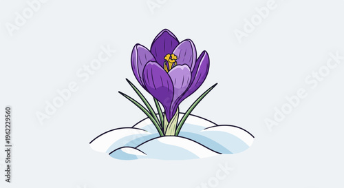 A solitary purple crocus blooms bravely from a snow-covered mound