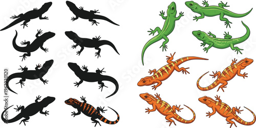 Lizard Vector Illustration Set Featuring Realistic and Silhouette Lizards in Various Colors and Poses Reptile Wildlife Animal Collection